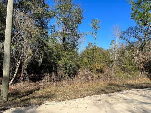 HARDSTONE DRIVE, WEBSTER, FL 33597