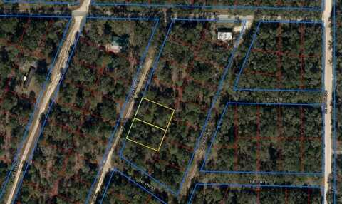 NE 155TH TERRACE, WILLISTON, FL 32696