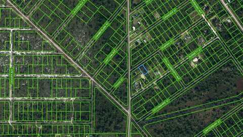 1003 DEARING STREET, LAKE PLACID, FL 33852