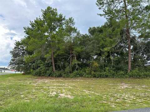 0000 SW 154 LANE, OCALA, FL 34473