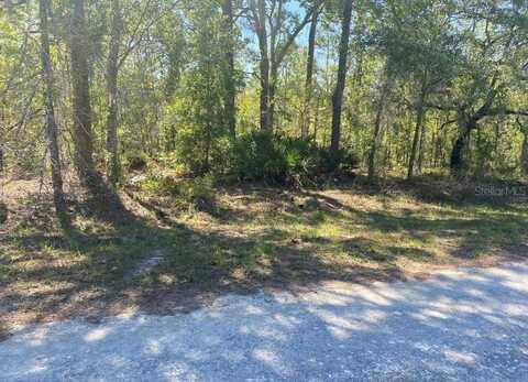 14227 EARLINE ROAD, BROOKSVILLE, FL 34614