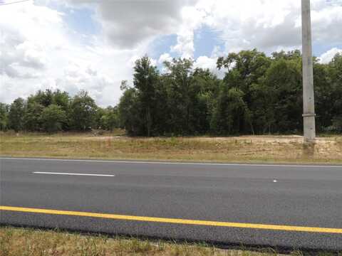 Tbd NE HIGHWAY 27 ALT, WILLISTON, FL 32696