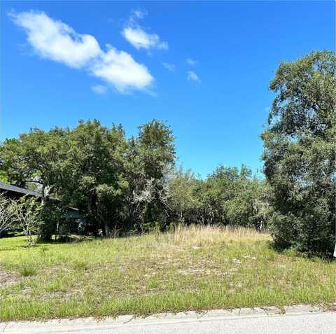 18002 OGGIE LANE, HUDSON, FL 34667