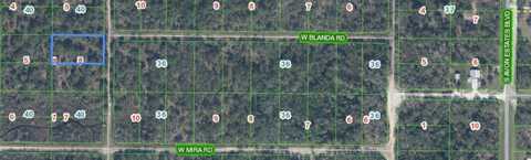 2000 S GABRIEL ROAD, AVON PARK, FL 33825