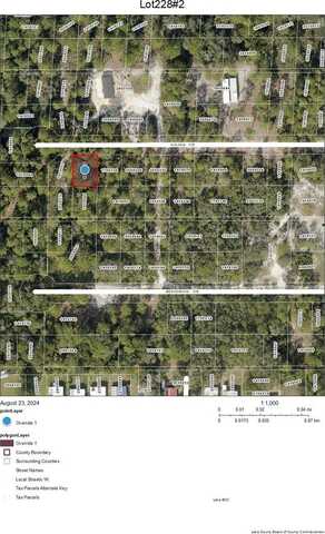 Lot 228 PARK FOREST BOULEVARD, MOUNT DORA, FL 32757