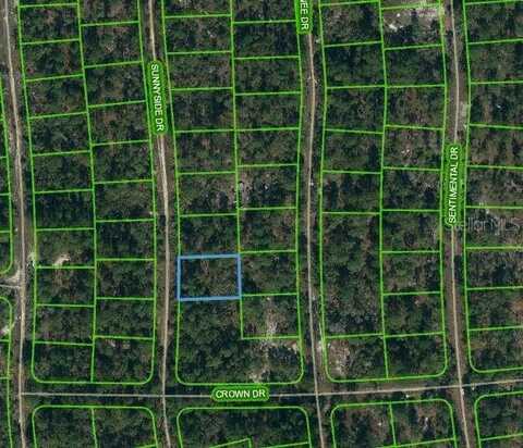 245 SUNNYSIDE DRIVE, LAKE PLACID, FL 33852