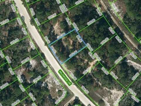 355 WILDWOOD DRIVE, LAKE PLACID, FL 33852