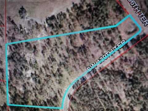 00 SE 139TH. LOT 29 TERRACE, MORRISTON, FL 32668