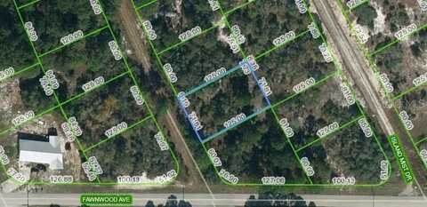 203 BLUE HORIZON DRIVE, LAKE PLACID, FL 33852