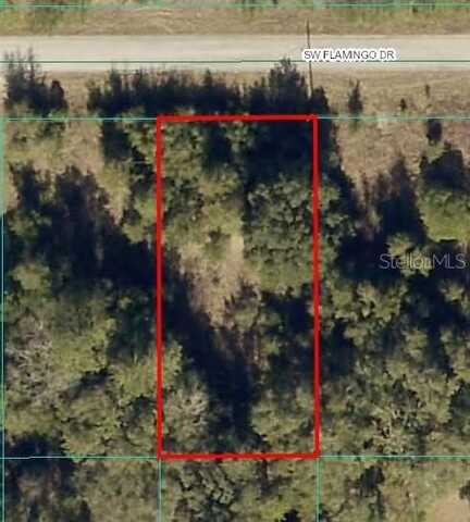 SW FLAMINGO DRIVE, DUNNELLON, FL 34431