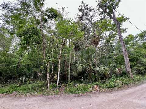 0 PATRICIA TRAIL, KISSIMMEE, FL 34747