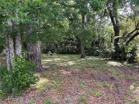 Tbd SE 12TH STREET, GAINESVILLE, FL 32641