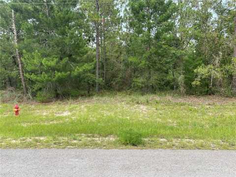 Tbd SW 136 STREET, OCALA, FL 34474