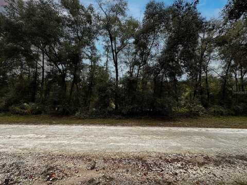 Tbd SAINT PATRICK DRIVE, DUNNELLON, FL 34432