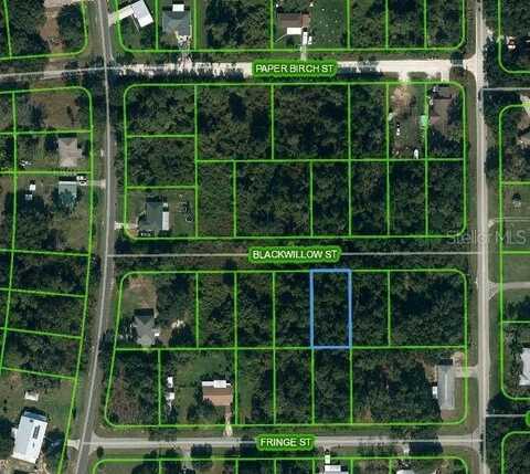 1505 PRENTICE STREET, LAKE PLACID, FL 33852