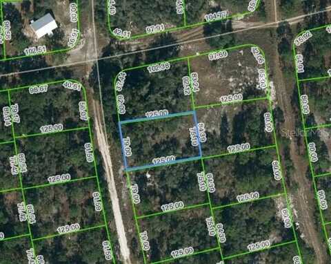 221 FASCINATION DRIVE, LAKE PLACID, FL 33852