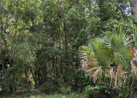 Lot 7 NE HUNTER CIRCLE, MICANOPY, FL 32667