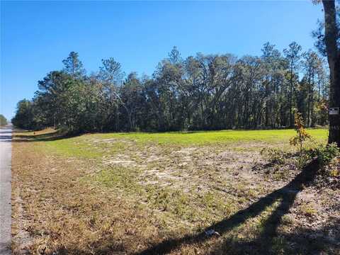 Tbd SW 137 STREET, OCALA, FL 34473