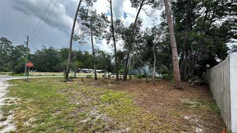 CAMELLIA STREET, PAISLEY, FL 32767