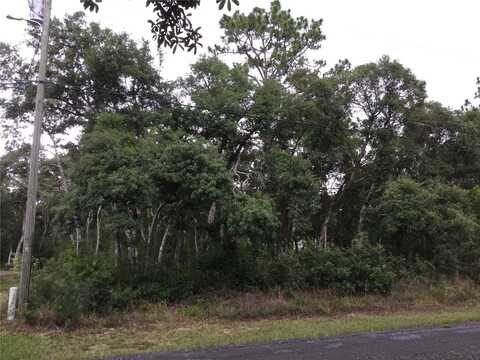 7265 N WESTBROOK WAY, DUNNELLON, FL 34433