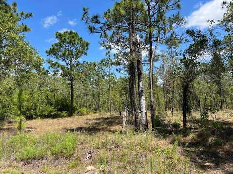 NW AMBERJACK AVENUE, DUNNELLON, FL 34431