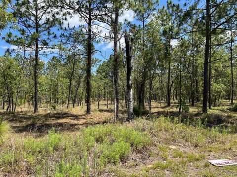 NW AMBERJACK AVENUE, DUNNELLON, FL 34431