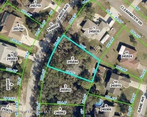 CABOT AVENUE, SPRING HILL, FL 34606