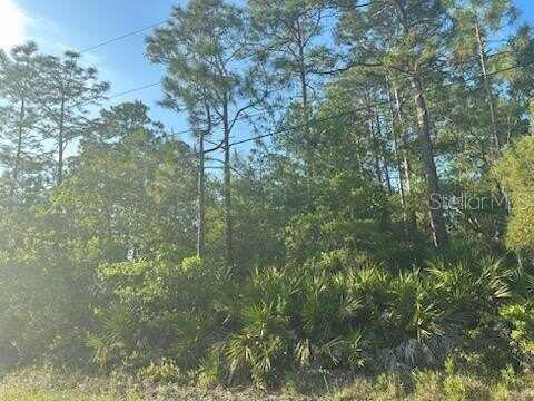 6044 NUTWOOD AVENUE, BUNNELL, FL 32110