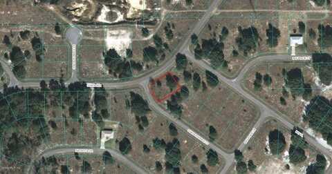 00 GUAVA TERRACE COURT, OCKLAWAHA, FL 32179