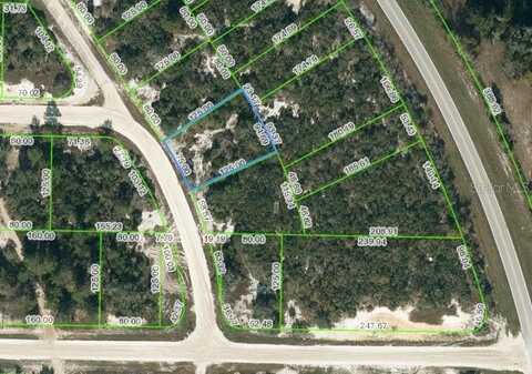 752 MORNINGSIDE DRIVE, LAKE PLACID, FL 33852