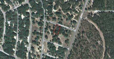 00 FISHER TERRACE TRACE, OCKLAWAHA, FL 32179