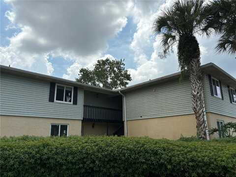 217 THORN TREE PLACE, BRANDON, FL 33510