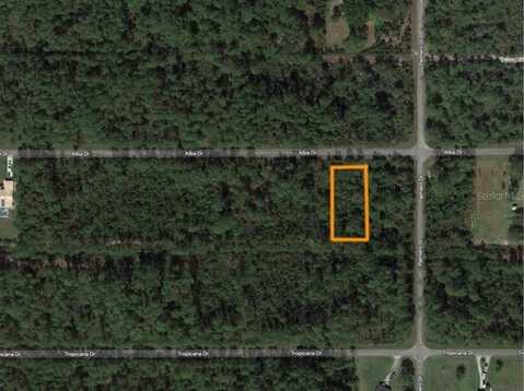 0 ALBA DRIVE, INDIAN LAKE ESTATES, FL 33855