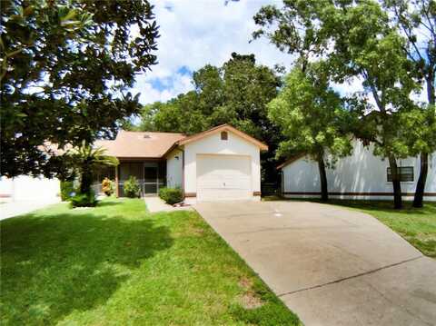 11746 SPRING TREE LANE, PORT RICHEY, FL 34668