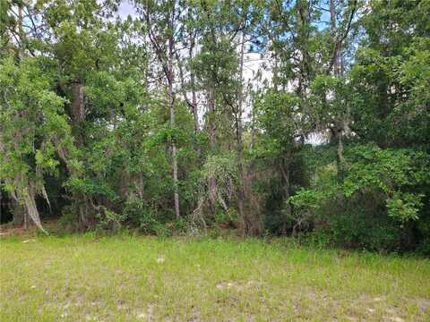 8650 SW 138 LANE, OCALA, FL 34473