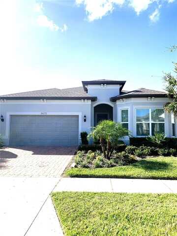 19771 SHIP WHEEL WAY, LAND O LAKES, FL 34638