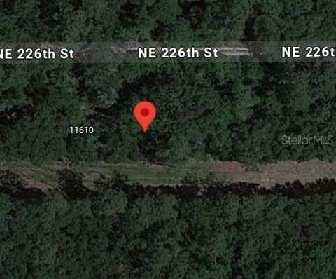 NE 226 TH STREET, ORANGE SPRINGS, FL 32182