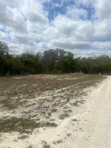 CLEFT ROCK STREET, WEBSTER, FL 33597