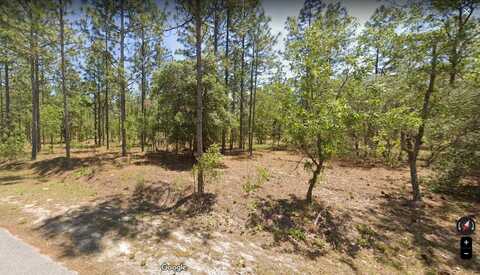 NW COLUMBINE AVE, DUNNELLON, FL 34431