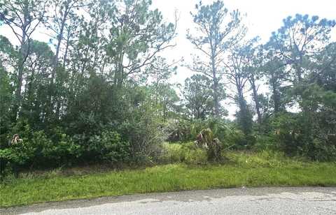 TASCO LOTS 2, 3 & 4 DRIVE, NORTH PORT, FL 34291