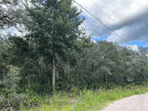 SW 152ND PLACE, DUNNELLON, FL 34433