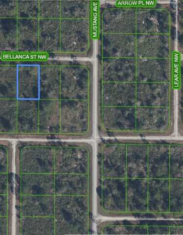 324 BELLANCA STREET NW, LAKE PLACID, FL 33852