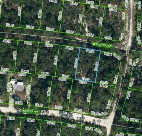 341 GLENBRIER AVENUE, LAKE PLACID, FL 33852