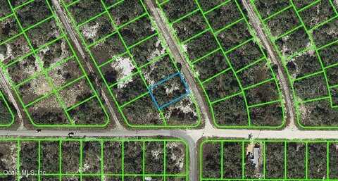 202 Deep Purple DRIVE, LAKE PLACID, FL 33852
