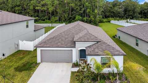 13419 WILLOW BLUESTAR LOOP, RIVERVIEW, FL 33579