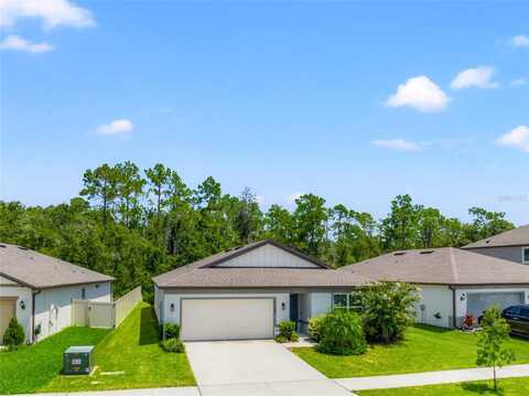 30309 MARQUETTE AVENUE, WESLEY CHAPEL, FL 33545