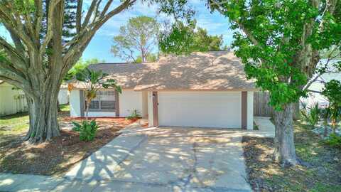 7737 ANAHEIM AVENUE, NEW PORT RICHEY, FL 34655