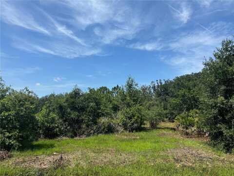 4309 SE HIGHWAY 31, ARCADIA, FL 34266