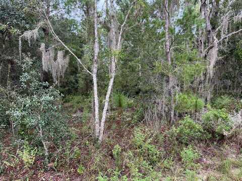 2261 COUNTY ROAD 243C, WILDWOOD, FL 34785