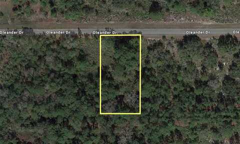 OLEANDER DRIVE, INDIAN LAKE ESTATES, FL 33855